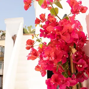 civico-50.hotels-amalfi.com/